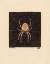Picture of SPIDER IN A WEB, 1918