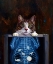 Picture of CAT SCAN