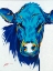 Picture of ANGUS