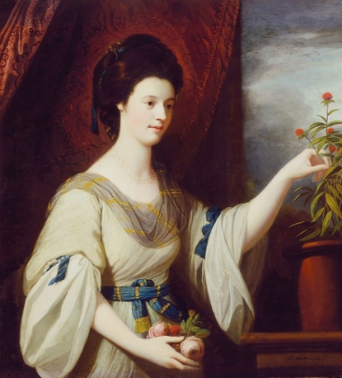 Picture of PORTRAIT OF DIANA MARY BARKER 1766