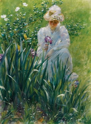 Picture of THE IRIS BED 1891