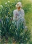 Picture of THE IRIS BED 1891