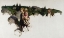 Picture of A FINISHED STORY 1924