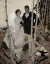 Picture of MOONLIT COUPLE 1920
