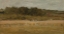 Picture of LANDSCAPE SKETCH