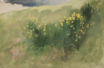 Picture of LANDSCAPE WITH WILDFLOWERS