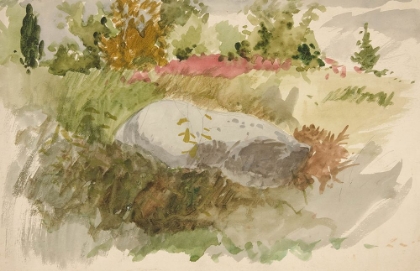 Picture of ROCKS AND SHRUBS