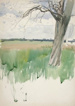 Picture of STUDY OF A FIELD AND TREE