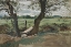 Picture of STUDY OF TWO TREES AND A FIELD