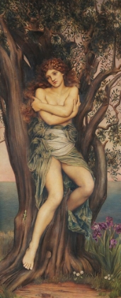 Picture of THE DRYAD 1884