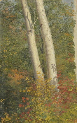 Picture of BIRCH TREES IN AUTUMN 1865