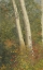 Picture of BIRCH TREES IN AUTUMN 1865