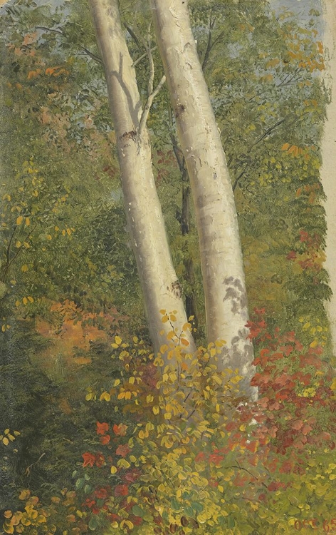 Picture of BIRCH TREES IN AUTUMN 1865
