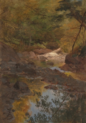Picture of IN THE NEW ENGLAND WOODS 1855