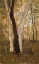 Picture of IN THE WOODS, HUDSON, NEW YORK 1865