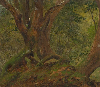 Picture of IN THE WOODS, JAMAICA 1865