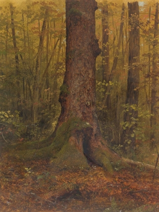 Picture of IN THE WOODS, PROBABLY MAINE 1850