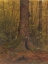 Picture of IN THE WOODS, PROBABLY MAINE 1850