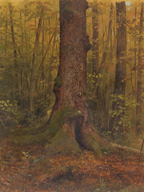 Picture of IN THE WOODS, PROBABLY MAINE 1850
