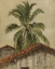 Picture of PALM TREES AND HOUSETOPS, ECUADOR 1857