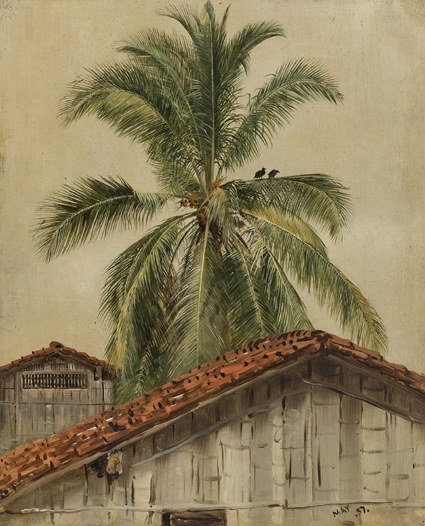 Picture of PALM TREES AND HOUSETOPS, ECUADOR 1857
