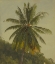 Picture of PALM TREES, WEST INDIES 1865