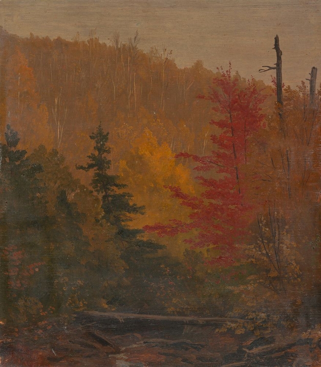 Picture of PROBABLY NEAR KATAHDIN, AUTUMN 1865