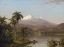 Picture of TAMACA PALMS 1854