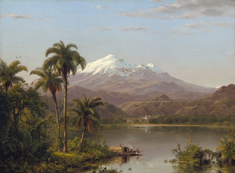 Picture of TAMACA PALMS 1854