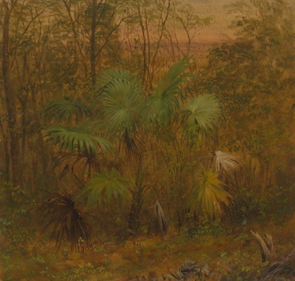 Picture of THATCH PALM, JAMAICA 1865