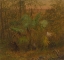 Picture of THATCH PALM, JAMAICA 1865