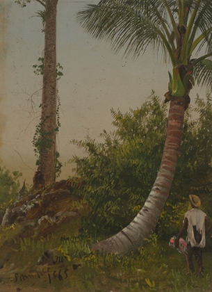 Picture of TREES IN JAMAICA, WEST INDIES 1865