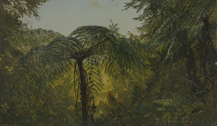 Picture of TROPICAL LANDSCAPE JULY 1865