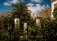 Picture of GARDEN OF AN INN, CAPRI 1859