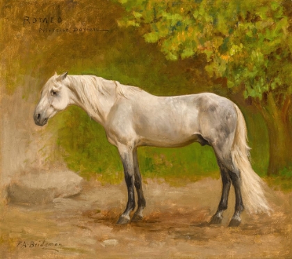 Picture of ROMEO, A STALLION IN A LANDSCAPE