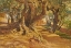 Picture of TREE TRUNK 1885