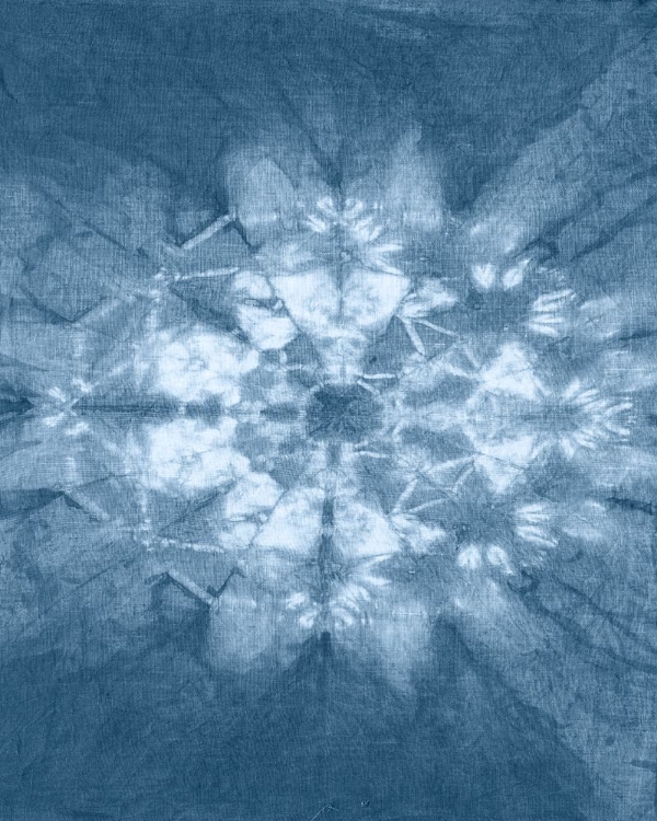 Picture of CYANOTYPE ABSTRACT IV