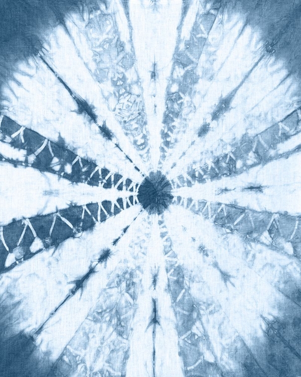 Picture of CYANOTYPE ABSTRACT V