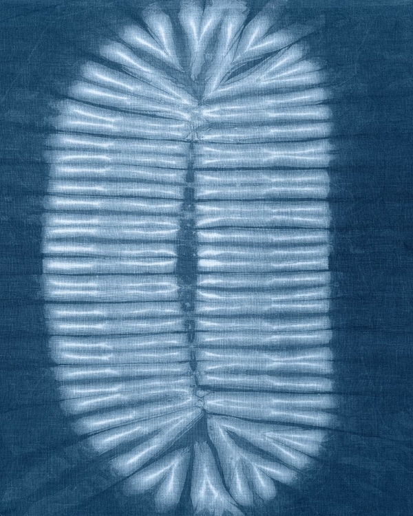Picture of CYANOTYPE ABSTRACT VI