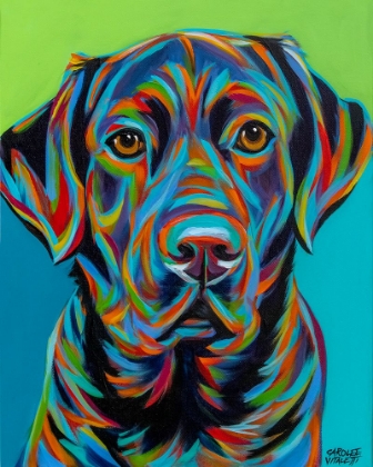 Picture of COLORFUL ENGLISH LAB