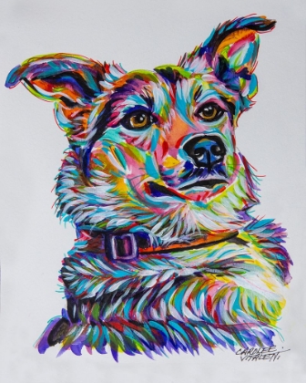 Picture of COLORFUL SHEPHERD