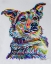 Picture of COLORFUL SHEPHERD