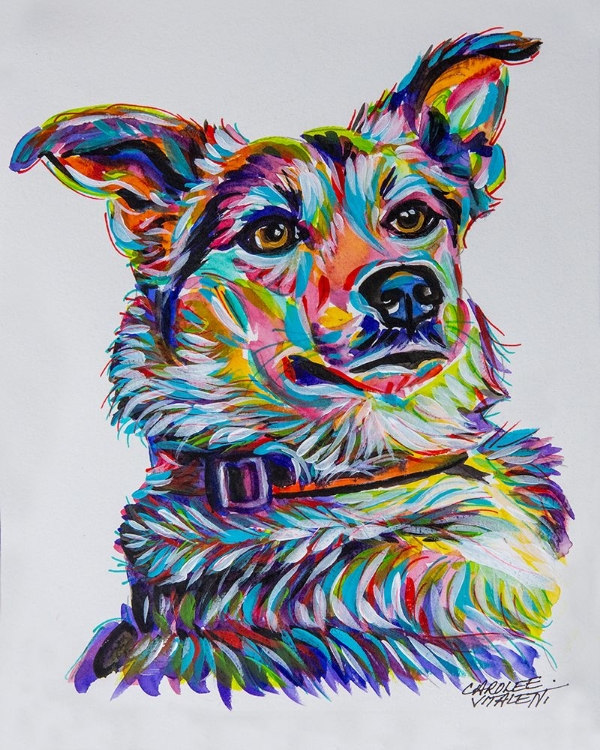 Picture of COLORFUL SHEPHERD