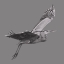 Picture of GREAT GRAYSCALE HERON I