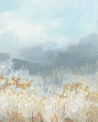 Picture of BLUERIDGE MEADOW I