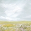 Picture of GOLDEN DISTANCE II