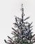 Picture of DISCO CHRISTMAS TREE I