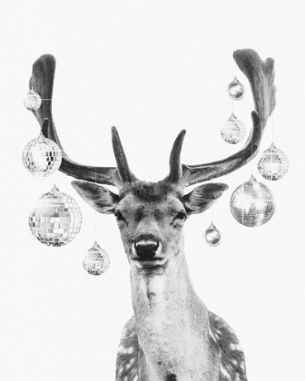 Picture of DISCO DEER II