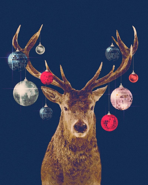 Picture of DISCO DEER III