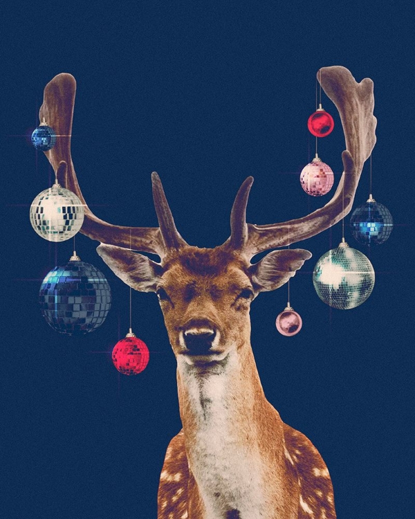 Picture of DISCO DEER IV
